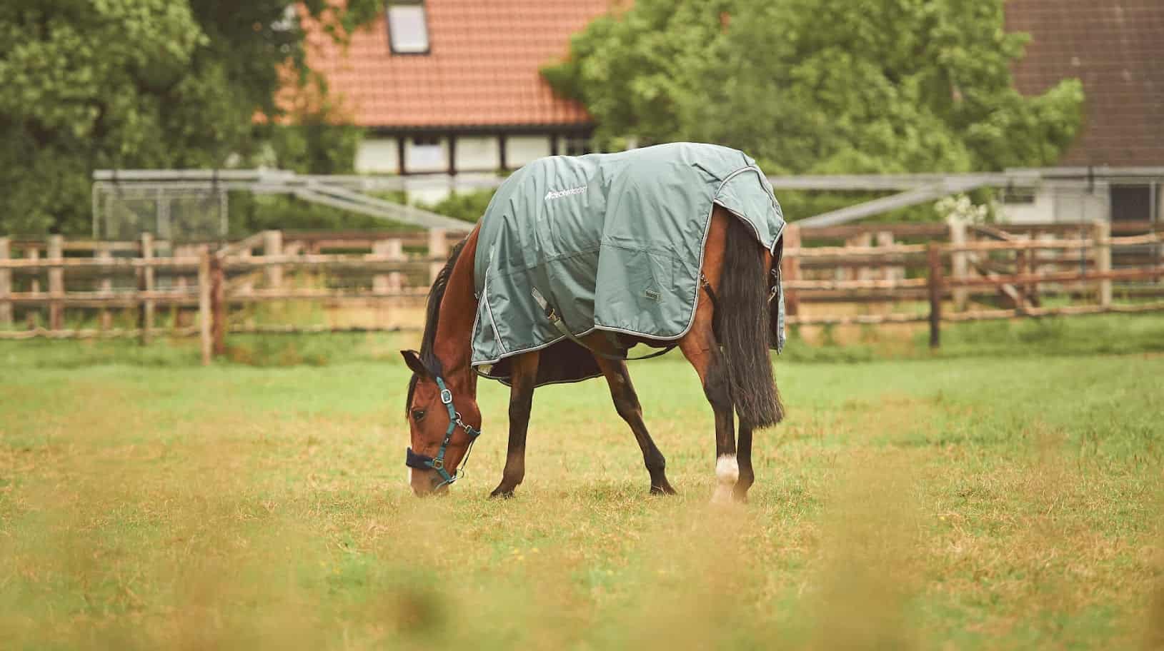 Deckenpost E-Commerce